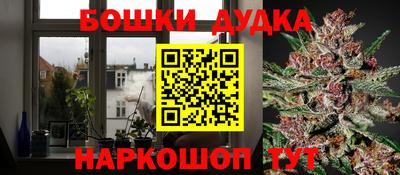 индика Апрелевка