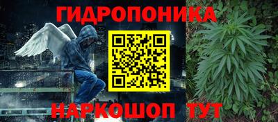 прущие крисы Аргун
