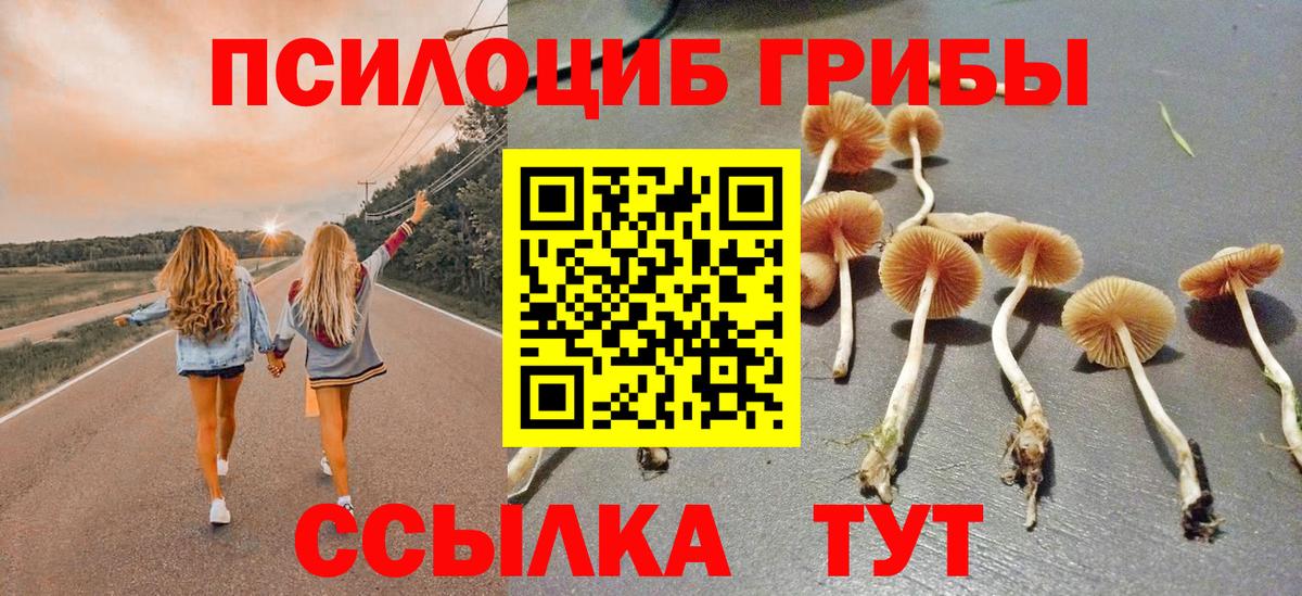 Псилоцибиновые грибы прущие грибы Ачхой-Мартан