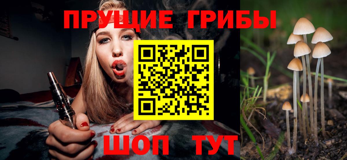 Меф МЯУ МЯУ   МЕТАДОН  Альфа ПВП СК   LSD-25  Ачхой-Мартан  Кокаин  ГАШ  Вход с VPN 